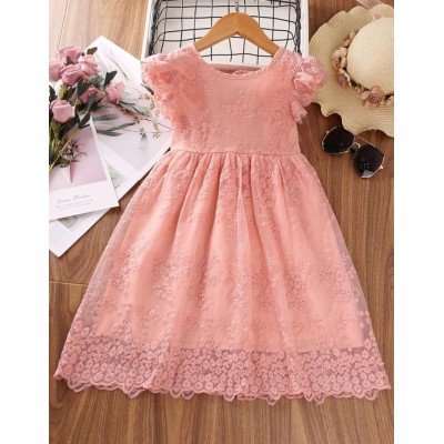 Toddler Girls Floral Embroidery Ruffle Trim Bow Back Lace Dress